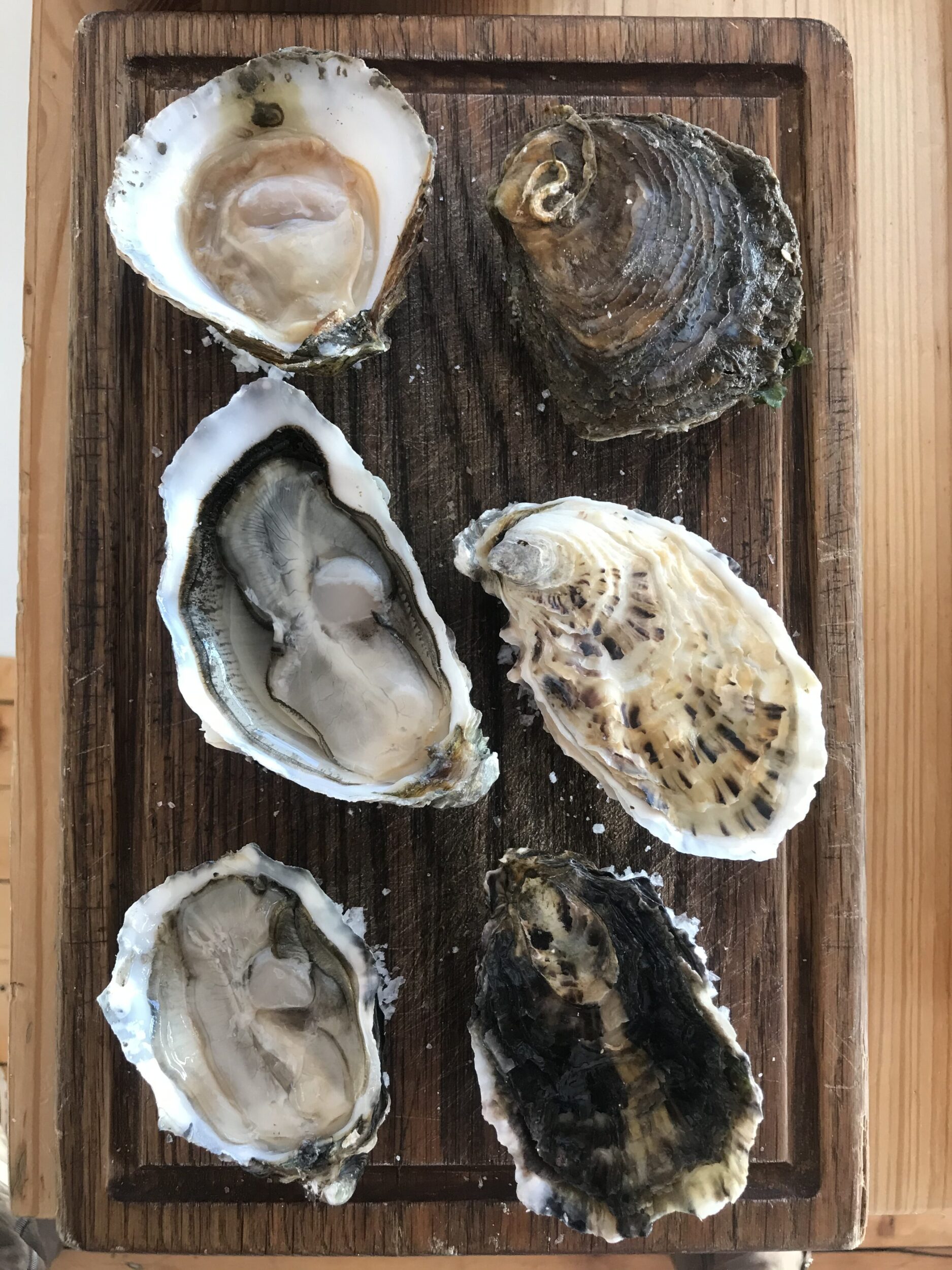 oyster celebration